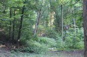 IMG_1217.JPG