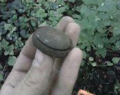 IMG0279A.jpg