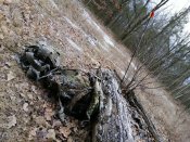 IMG_20200123_145757.jpg