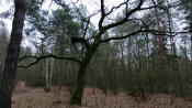 VID_20200118_101551 (1).png