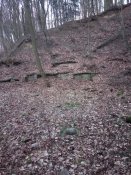 IMG_20200115_161602.jpg
