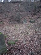 IMG_20200115_161532.jpg