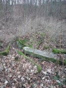 IMG_20200115_161319.jpg
