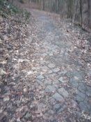 IMG_20200115_161124.jpg