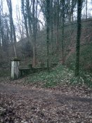 IMG_20200115_161017.jpg