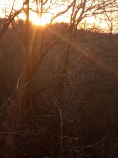 IMG_20200115_155543.jpg