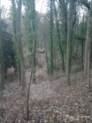 IMG_20200115_160216.jpg