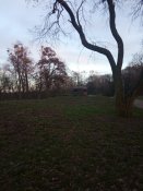 IMG_20200115_155702.jpg