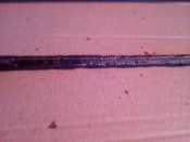 IMG_20200129_163514.jpg