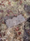 IMG_20200129_114826.jpg