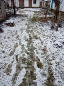 IMG_20200129_110146.jpg