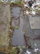 IMG_20200129_110023.jpg