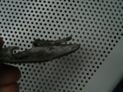 SDC13760-001.jpg