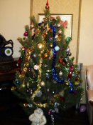 DSC03121-1.jpg