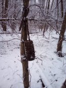 IMG_20200130_092533.jpg