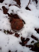 IMG_20200130_133447.jpg