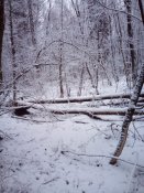 IMG_20200130_091043.jpg