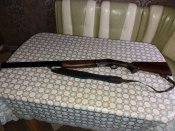 Ата армс 12 кал. Вертикалка
