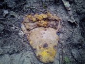 IMG_20200128_085017.jpg