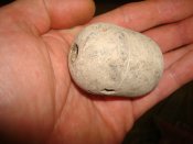 DSC09753.JPG