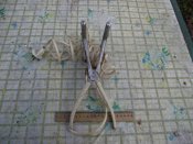 2012_12290010.JPG
