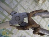 2012_12290012.JPG