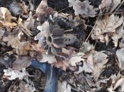 P04-12-11_14-39.jpg