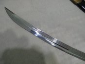 IMG_2450.JPG