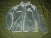 DSC07008.jpg