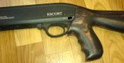 IMG_20200201_181950_195.jpg