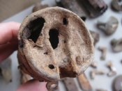 Запчасти к ручной гранате Рдултовского РГ-14