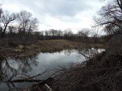 DSCN2220.JPG