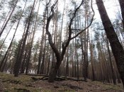 DSCN2239.JPG