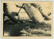 Siwerskaja54.jpg