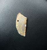 _20200202_140636.JPG