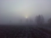 IMG_20200118_082336.jpg