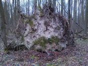 IMG_20200202_123450.jpg