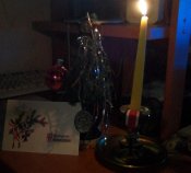 100_0095.jpg