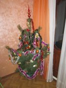 IMG_0043.jpg