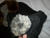 100_2926.jpg