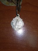 IMG_20200204_120052.jpg