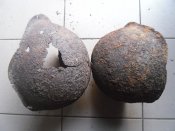 Каски
