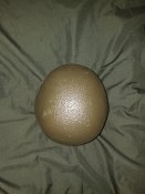 20191031_101829.jpg