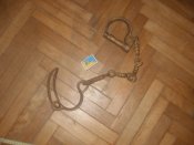 P1010001.jpg