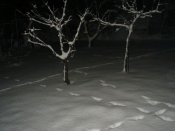 DSC01505.JPG