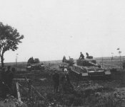vk1_164.jpg