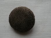 P1010009.JPG