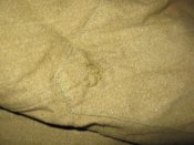 IMG_7368.JPG