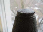 IMG_0534.jpg