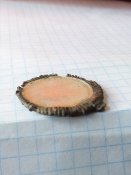IMG_20200208_123835.jpg